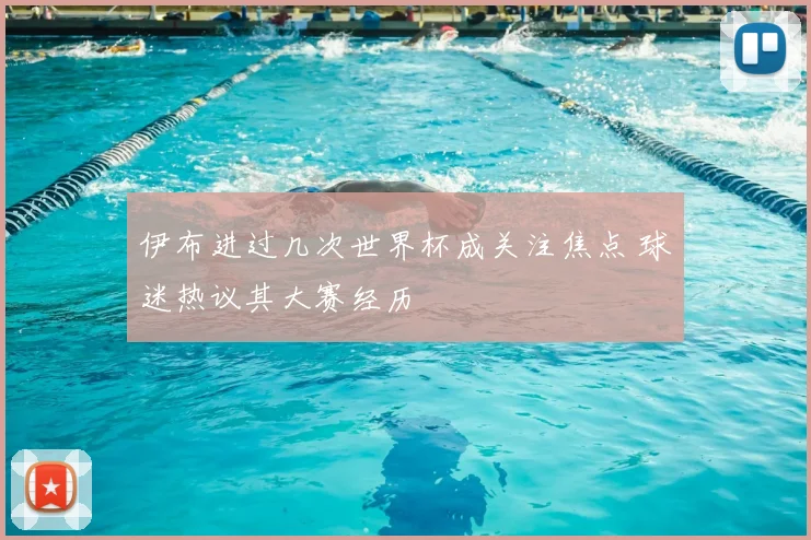 伊布进过几次世界杯成关注焦点 球迷热议其大赛经历