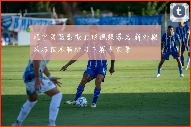 辽宁男篮泰勒打球视频曝光 新外援风格技术解析与下赛季前景