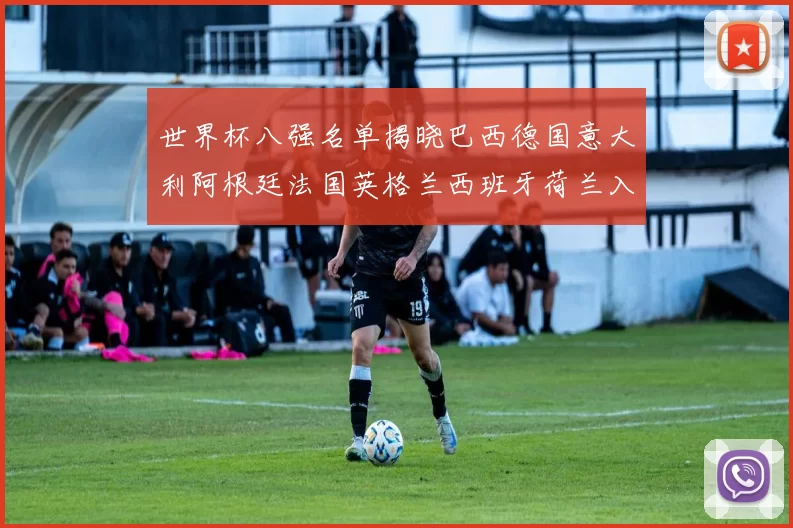 世界杯八强名单揭晓巴西德国意大利阿根廷法国英格兰西班牙荷兰入围