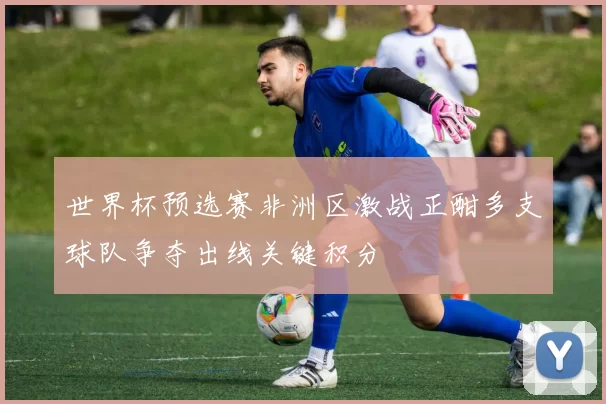 世界杯预选赛非洲区激战正酣多支球队争夺出线关键积分