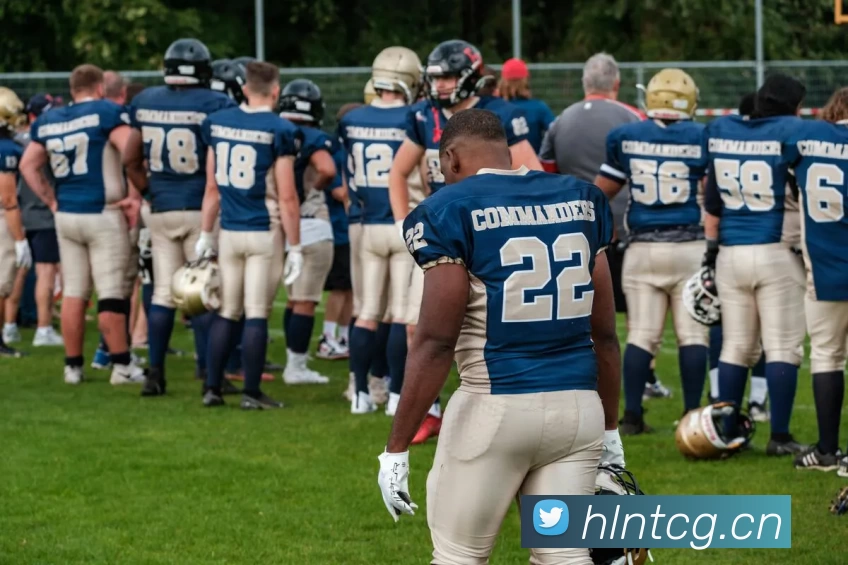 App Interface Preview